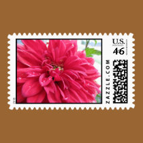 dhalia postage