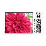 dhalia stamps