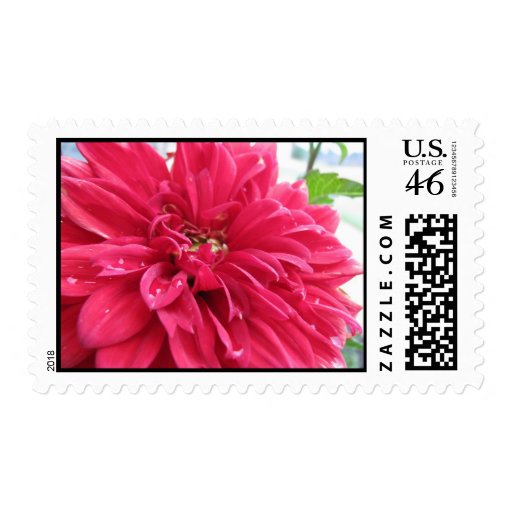 dhalia stamps