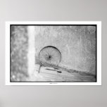 DHARMA POSTERS