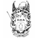 DHS Ladies' Tee -  Red t-shirts