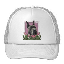Día de madres - tulipanes rosados - great dane - g gorro de camionero