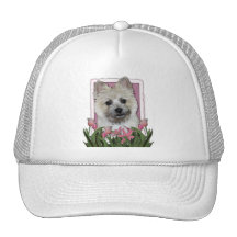 Día de madres - tulipanes rosados - mojón - oso de gorro