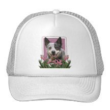 Día de madres - tulipanes rosados - perro australi gorro de camionero