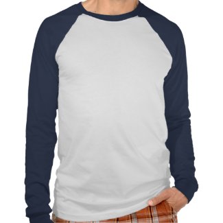 Diabetes Awareness Find A Cure shirt