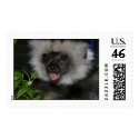 Diademed Sifaka Lemur postage