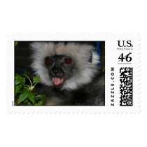 Diademed Sifaka Lemur postage by krisfiddle Diademed Sifaka Lemur postage