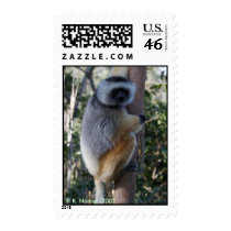 Diademed Sifaka, Madagascar postage by krisfiddle Diademed Sifaka, Madagascar postage
