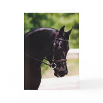 DIADHEM cards by mdarabians DIADHEM cards