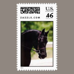 DIADHEM postage