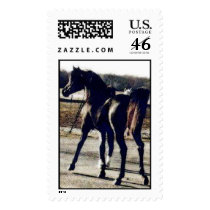 DIADHEM postage by mdarabians DIADHEM postage