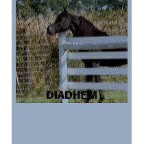 DIADHEM t-shirts by mdarabians DIADHEM t-shirts