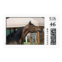 DIADHEMS AZIZA POSTAGE STAMP