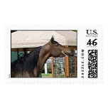 DIADHEMS AZIZA postage