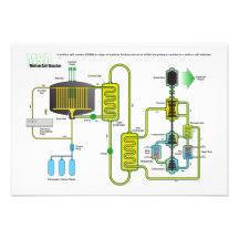 Diagram of a Molten Salt Nuclear Fission Reactor Custom Announcement