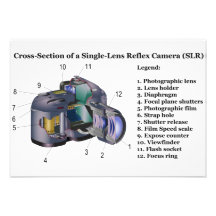 Diagram of a Single Lens Reflex Camera SLR Custom Announcement