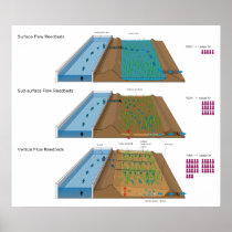 Diagram of an Agricultural Water Treatment Pond Print