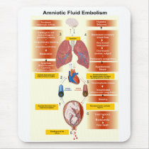Diagram of an Amniotic Fluid Embolism AFE Mouse Pads