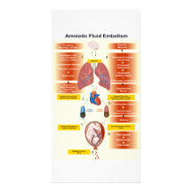 Diagram of an Amniotic Fluid Embolism AFE Photo Card