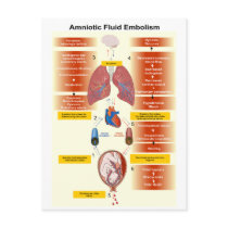Diagram of an Amniotic Fluid Embolism AFE Post Cards
