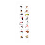 Diagram of Different Bird Beak Adaptations Poster