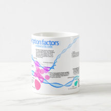 Diagram of gene transcription factors coffee mug