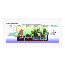 Diagram of Greywater Processing Custom Photo Card