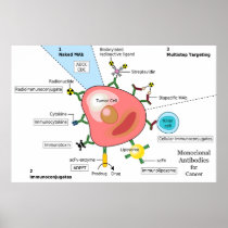 Diagram of Monoclonal Antibodies for Cancer Print