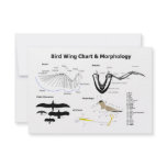 Diagram of the Anatomy of Bird Wings Invitation