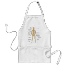 Diagram of the Human Body's Nervous System Apron