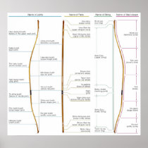 Diagram of the Japanese Bow Kyudo Yumi Daikyu Poster