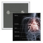 Diagram of the respiratory system and the heart buttons