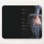 Diagram of the respiratory system and the heart mouse pad