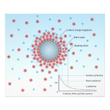 Diagram of Zeta Potential and Slipping Plane Photo Print