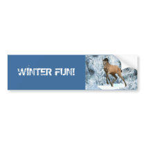 DIAMANTE'S WINTER FUN BUMPER STICKER