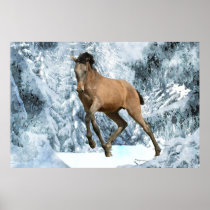 DIAMANTE'S WINTER FUN Poster