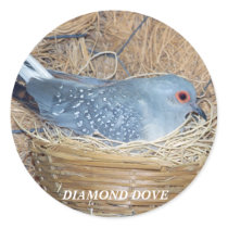 DIAMOND DOVE ON NEST STICKER by KABSANNIE DIAMOND DOVE ON NEST STICKER