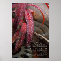 Diamond Studded Leaf; 2013 Calendar Print
