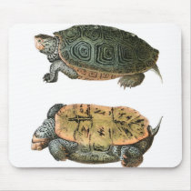 Diamondback Terrapin illustration Mousepads