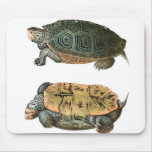 Diamondback Terrapin illustration Mousepads