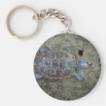 Diamondback Terrapin Key Chains