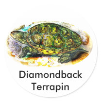 diamondback Terrapin Turtle from JungleWalk.Com stickers by junglewalkcom diamondback Terrapin Turtle from JungleWalk.Com stickers