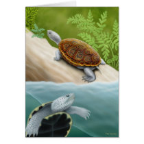 Diamondback Terrapin Turtles Card by twopurringcats Diamondback Terrapin Turtles Card