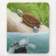 Diamondback Terrapin Turtles Mousepad mousepad