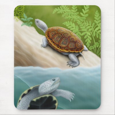 Diamondback Terrapin Turtles Mousepad by twopurringcats