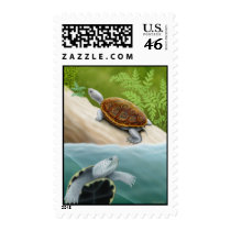 Diamondback Terrapin Turtles Postage postage by twopurringcats Diamondback Terrapin Turtles Postage postage