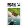Diamondback Terrapin Turt...