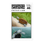 Diamondback Terrapin Turtles Postage postage