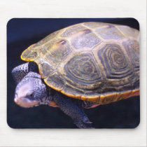 Diamondback Turtle Mouse Pad