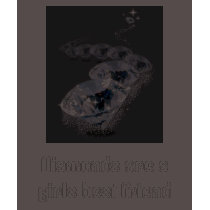 Diamonds are a girls best friend t-shirts by Pinkturtle23 Diamonds are a girls best friend t-shirts